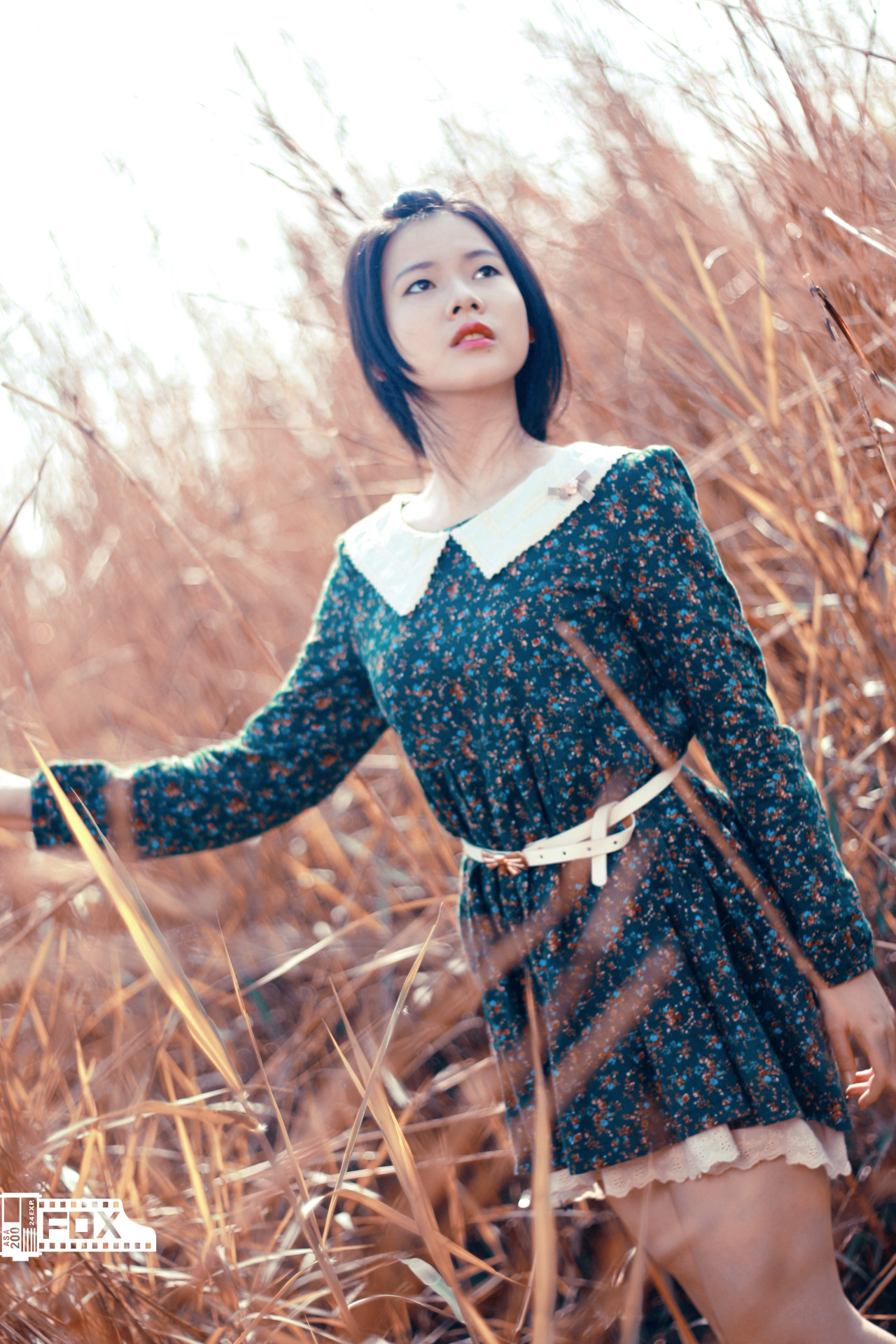 春香草莓和久久草莓的区别